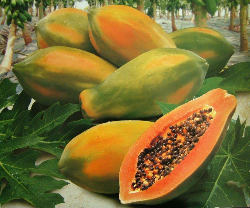 Papaya, sus propiedades y beneficios para la salud