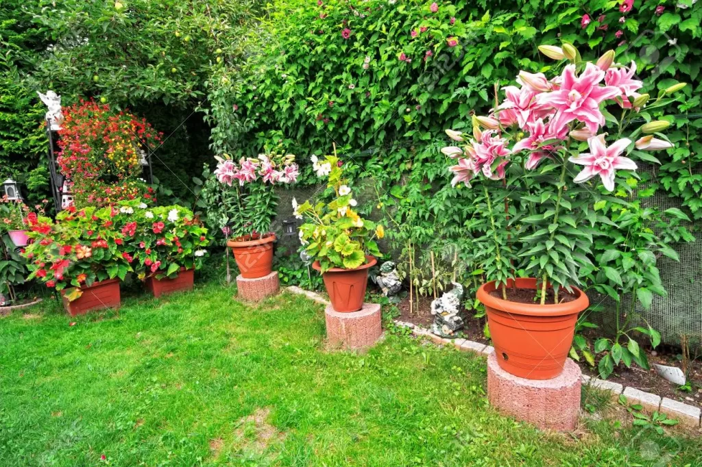 Ideas para la decoración jardines con macetas