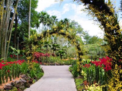 Jardín Botánico de la Universidad de Puerto Rico
